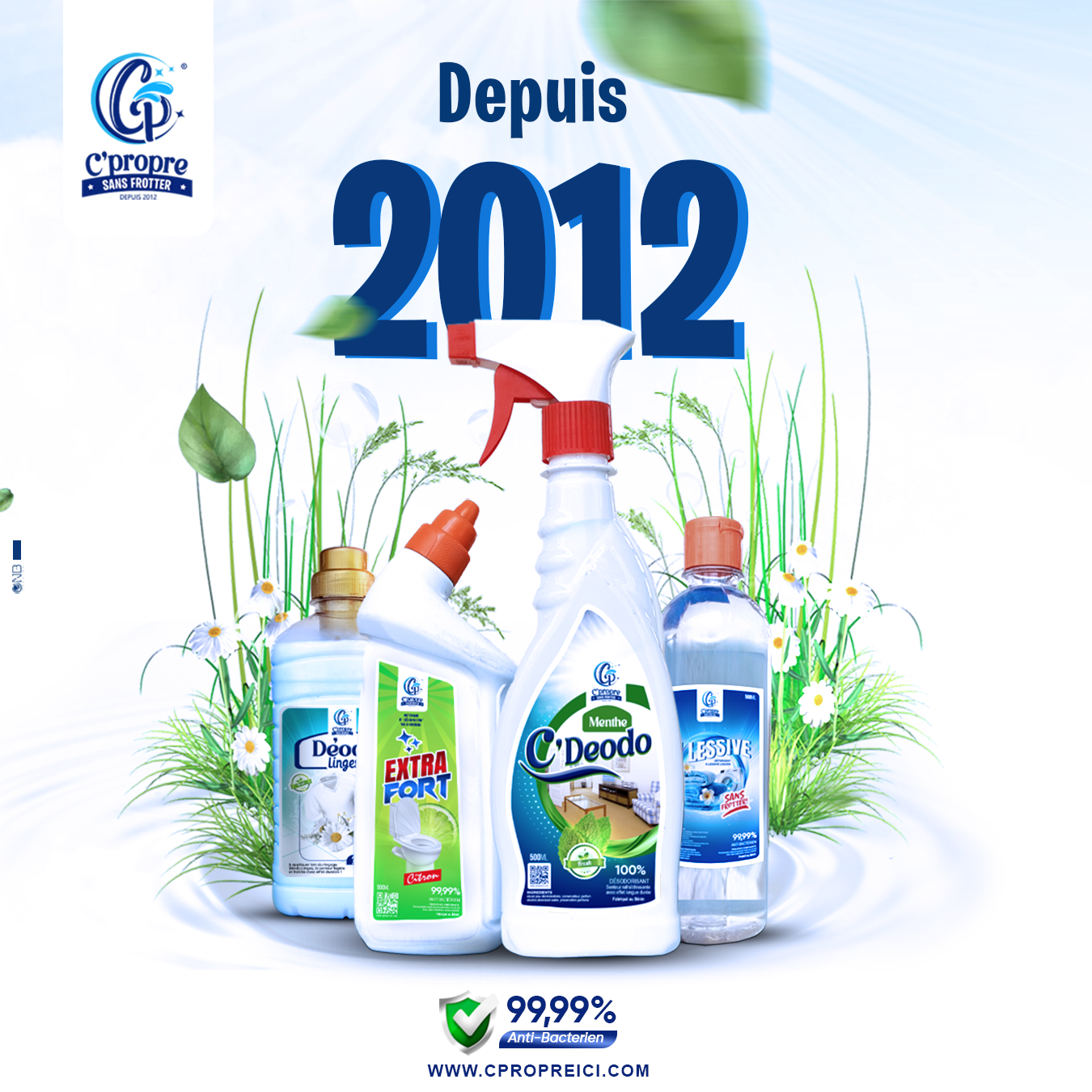 Logo explicite C Propre